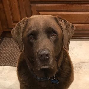 Meet your Posher, Nathan